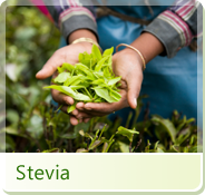 I3S_looking for distributors